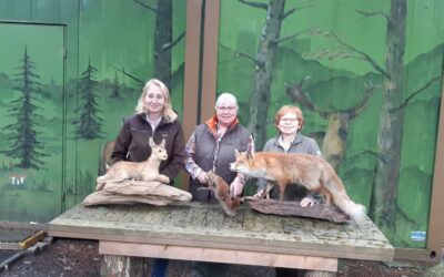 Führungen in der Waldschule Oberhausen im Frühjahr 2024